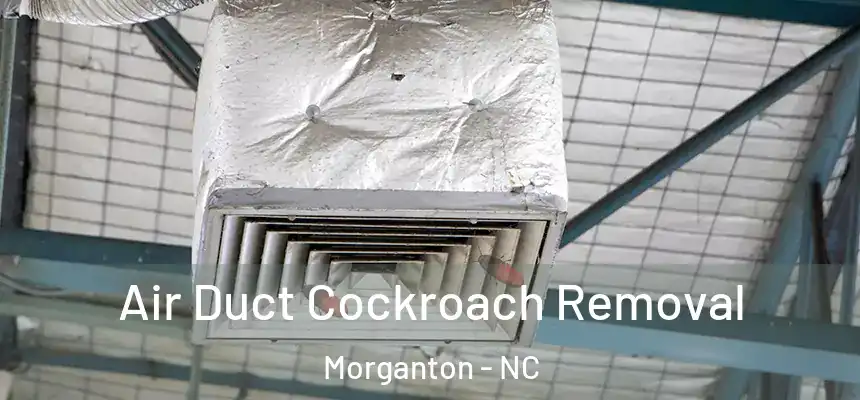  Air Duct Cockroach Removal Morganton - NC