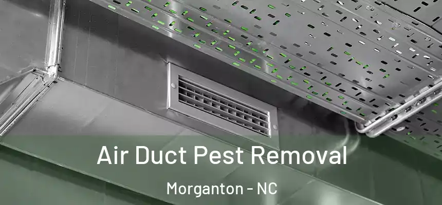  Air Duct Pest Removal Morganton - NC