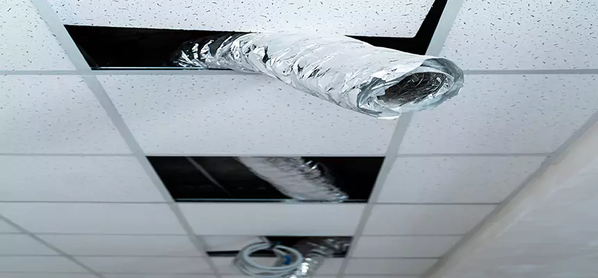 Affordable HVAC Sanitizing After Pest Removal in Morganton