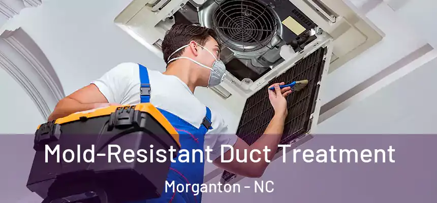  Mold-Resistant Duct Treatment Morganton - NC