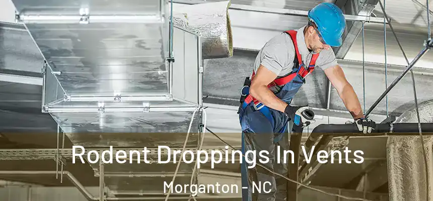  Rodent Droppings In Vents Morganton - NC