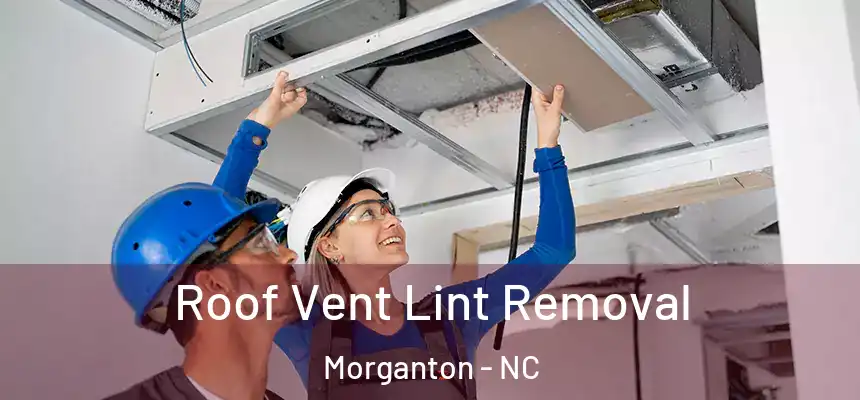  Roof Vent Lint Removal Morganton - NC