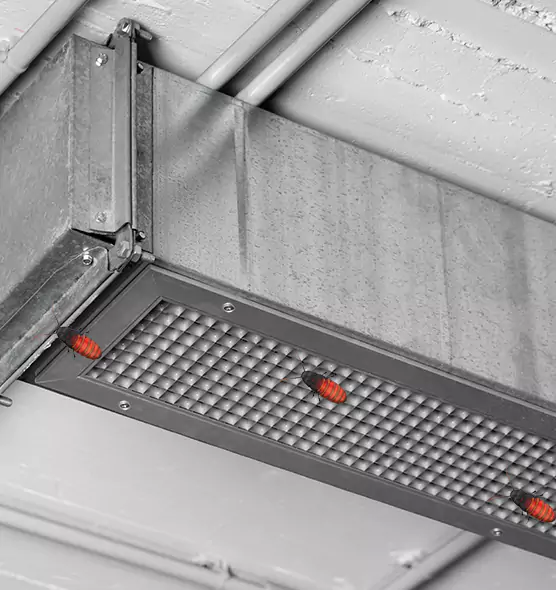 About Air Duct Cockroach Removal in Morganton, NC