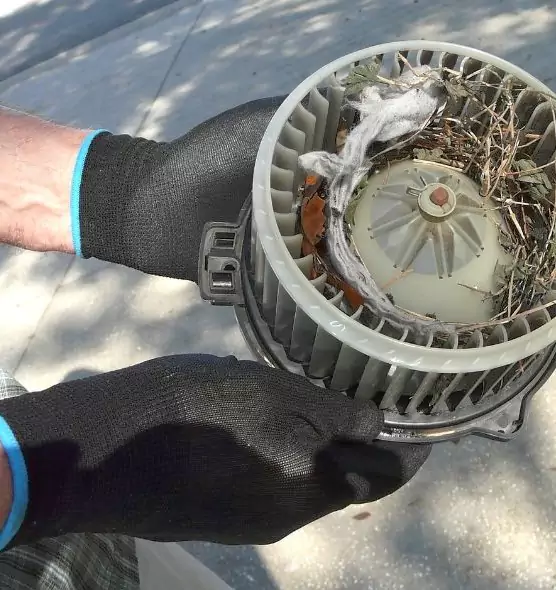 About Air Duct Rat Removal in Morganton, NC