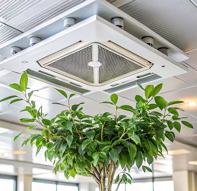 Why Homeowners & Businesses Trust Us in Morganton, NC?